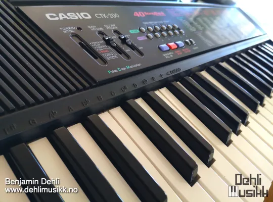 Casio CTK 200 Instruments Equipment Dehli Musikk