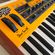 Dave Smith Instruments Mopho Keyboard